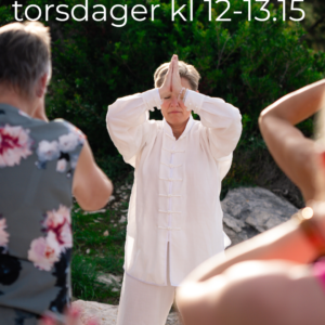 Introtilbud Tai chi-kurs dagtid, oppstart 27. august kl 12
