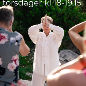 Tai Chi-kurs kveldstid 27.august kl 18